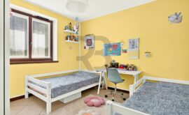 Sb 03916